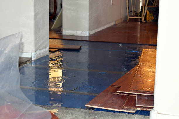 Professional Water Extraction technician working in Townsend, WI